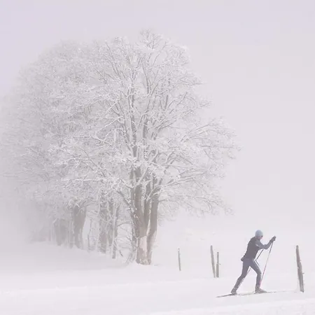 Bed & Breakfast Bergfuehrerhaus 3*