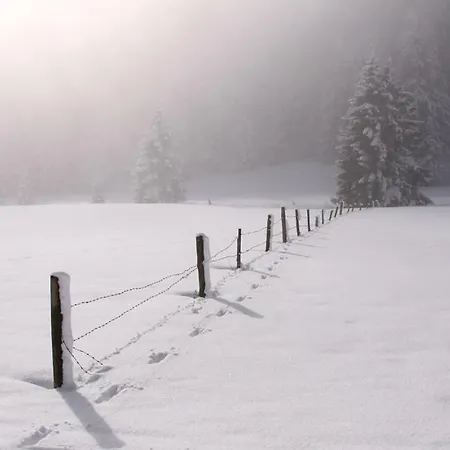 Bergfuehrerhaus Ramsau am Dachstein