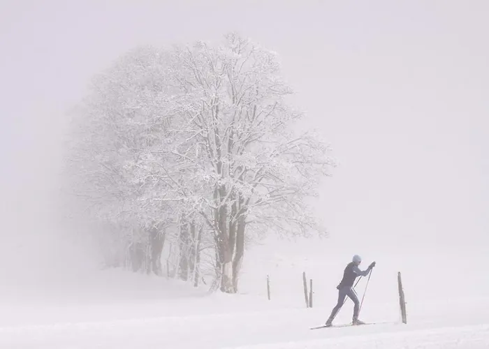 Bed & Breakfast Bergfuehrerhaus 3*