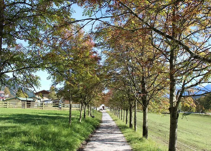 Bed & Breakfast Bergfuehrerhaus 3*